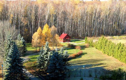 Русское поле